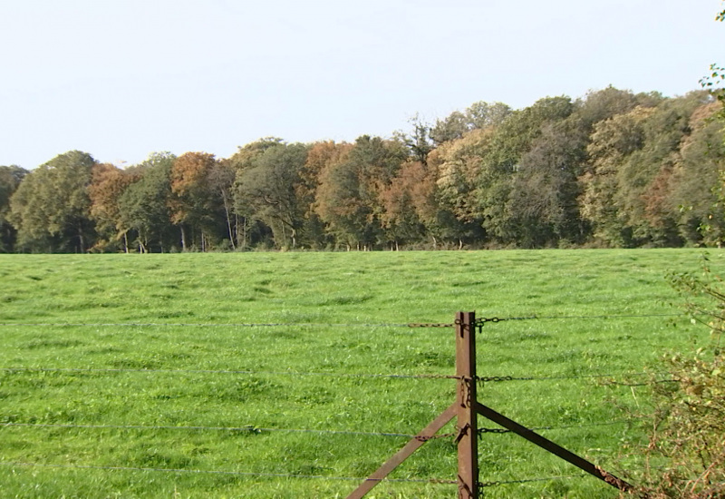 Le "Bois de Thuin" à Rance rebaptisé "Bois Paul Furlan"