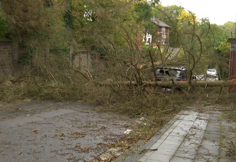 Tempête Ciaran: 100 à 150 interventions des pompiers !