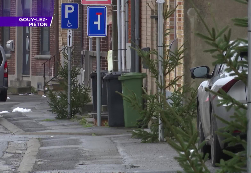 Noël :Gouy-Lez-Piéton est victime de vol de sapins ! 