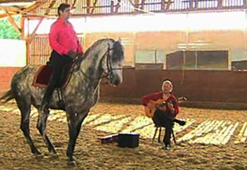 12/09/13 : FLAMENCO TRÃ?S Ã? CHEVAL