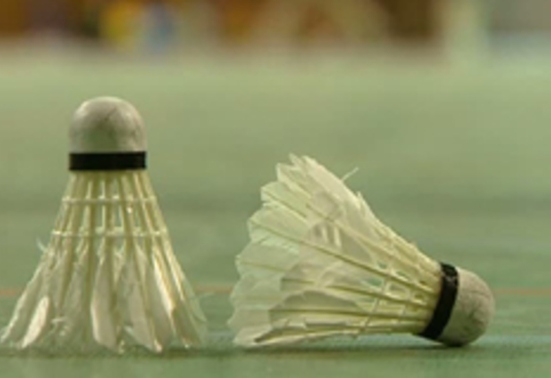 17/10/11 : Tournoi de badminton