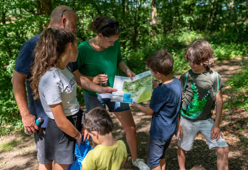 Obtenez votre pass gratuit pour des activités en Wallonie