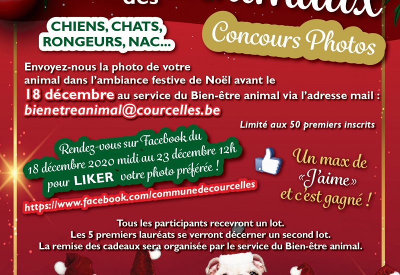 Courcelles : Le Noël des animaux revisité !