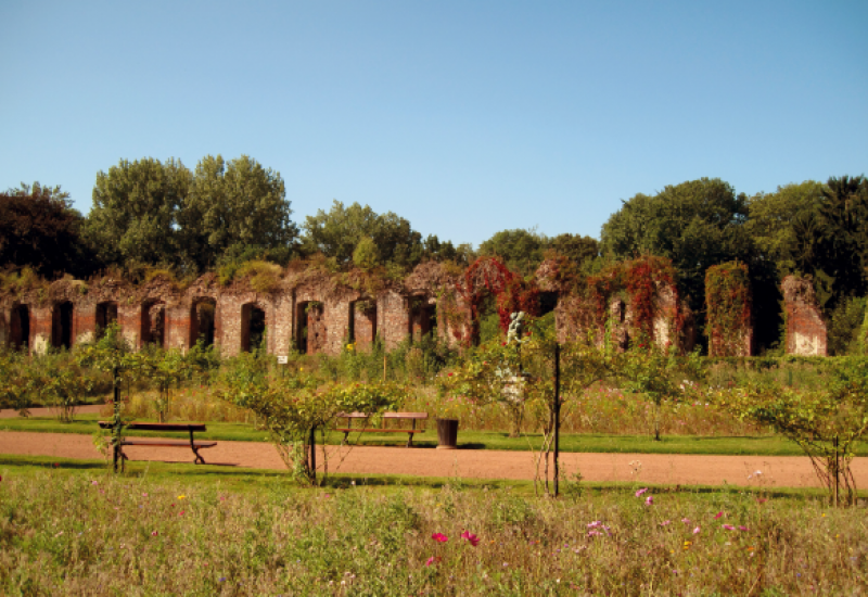 Les ruines du palais à Mariemont, un site européen à sauvegarder
