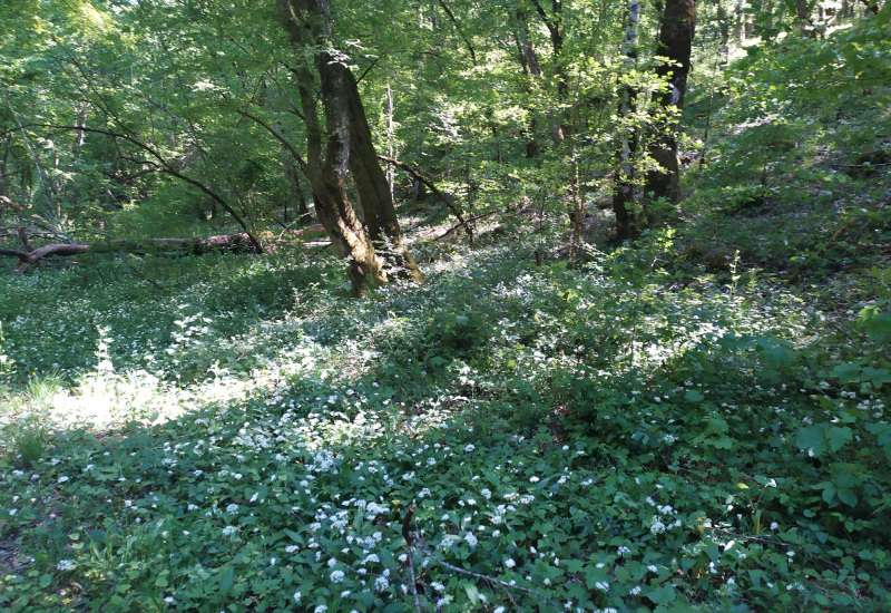 Le projet du Parc National Entre-Sambre-et-Meuse est bien lancé