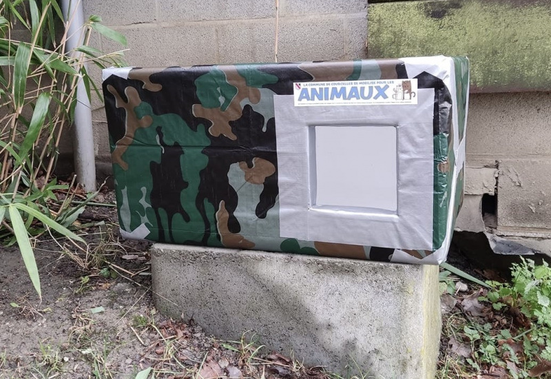 Courcelles met à disposition des abris pour les chats errants à l'hiver