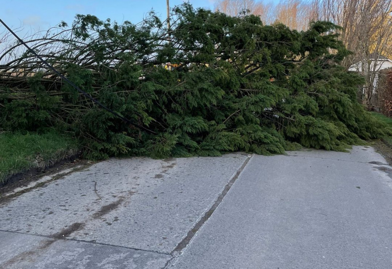 Tempête: des dégâts un peu partout dans la région