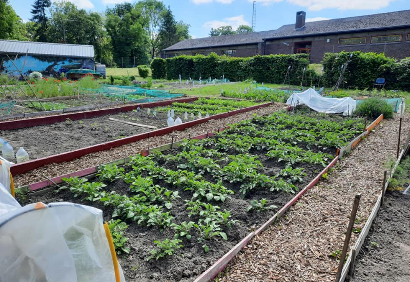 Des places se libèrent pour le jardin partagé à Châtelet
