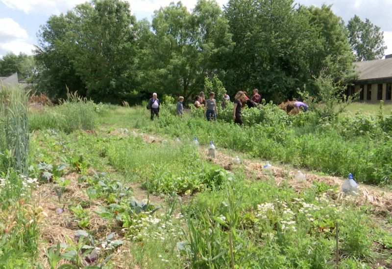 L'agriculture urbaine, une journée d'échanges et de découvertes à Charleroi