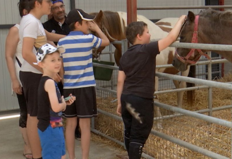 Programme des Stages vacances d'été 2022 à Courcelles