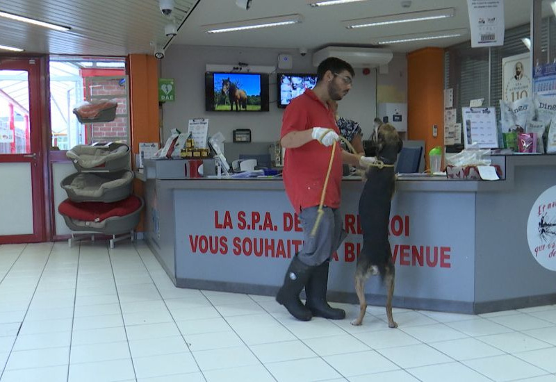 Prix de l'énergie: des aides pour la protection des animaux