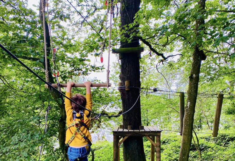 De l'accrobranche au Bois du Prince à Loverval oui mais non ! 