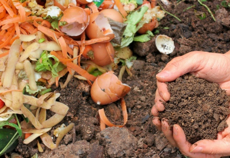 Erquelinnes: bientôt un compost de quartier ? 