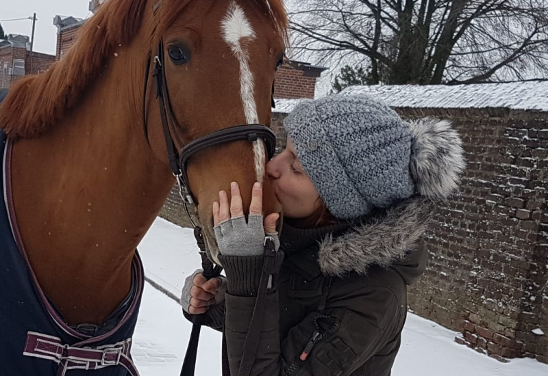 Courcelles: elle lance un appel pour sauver son cheval 
