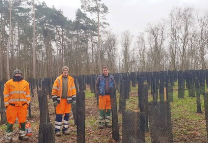 Villers-la-Ville: 1450 arbustes pour préserver les bois communaux