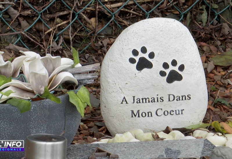 Recueillement aussi au cimetière pour animaux