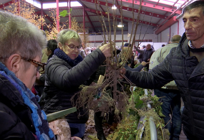 "Journée de l'Arbre": 2000 personnes présentes à Châtelet