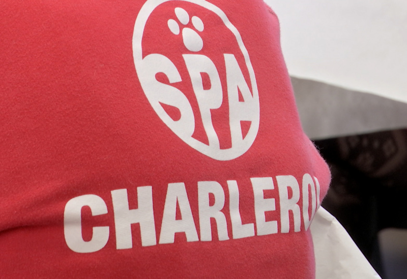 SPA de Charleroi: des records d’adoption en 2019