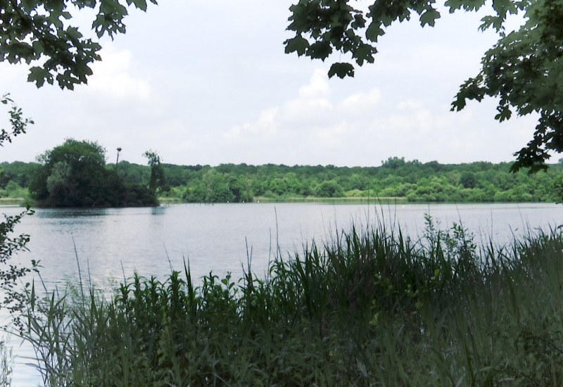 Aquascope de Virelles: 3 500 visiteurs, des Abeilles Noires et un nouveau couple de cigognes