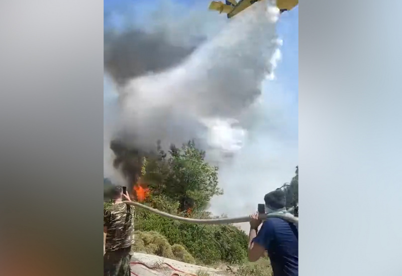 Incendies en Grèce : Certains carolos n'hésitent pas à partir