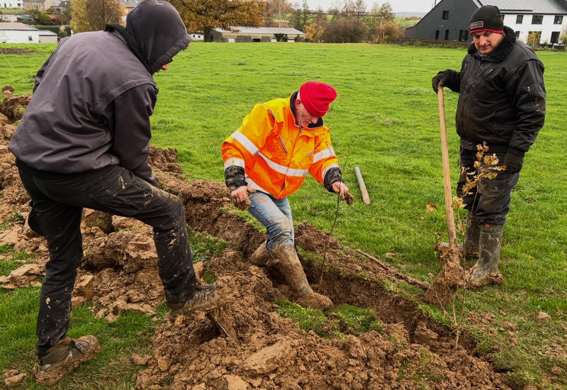 Gerpinnes : Plantation de 200 haies à la ferme du Ras Buzée