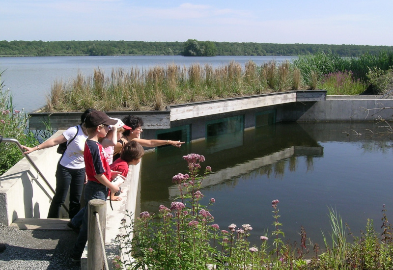 Un stage nature pour les enfants, à l'Aquascope de Virelles