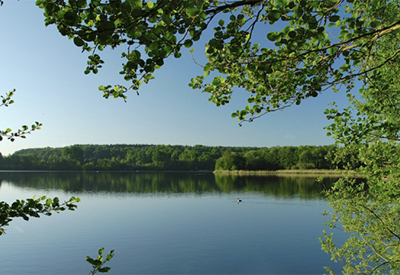 Une année caméléon pour le Lac de Bambois