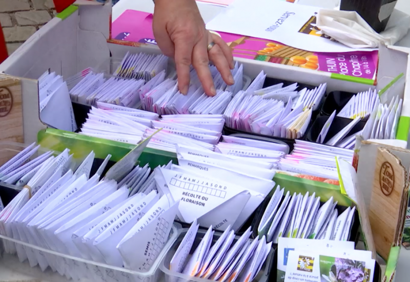 Thuin : la grainothèque accessible dès le 15 juin à la bibliothèque communale