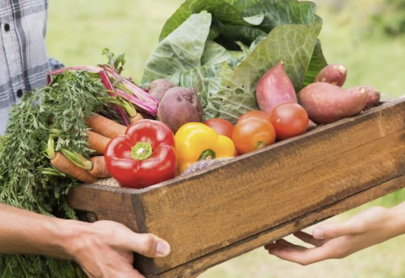 Nouveau rendez-vous du marché local et bio de Montigny-le-Tilleul