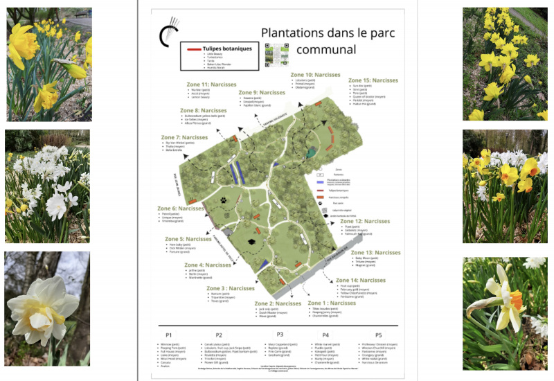 Courcelles : Un parcours floral dans le parc communal