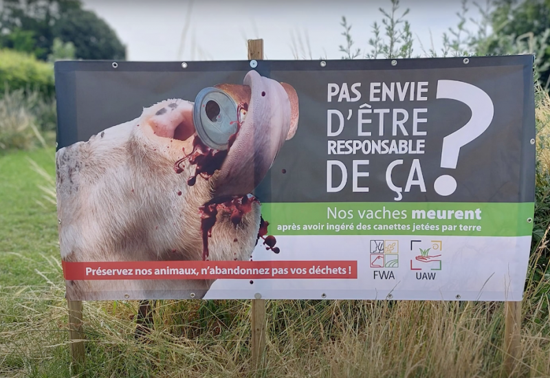 Aiseau-Presles: "Pas de canette dans mon assiette", une campagne de sensibilisation sur l'impact des déchets sur les animaux