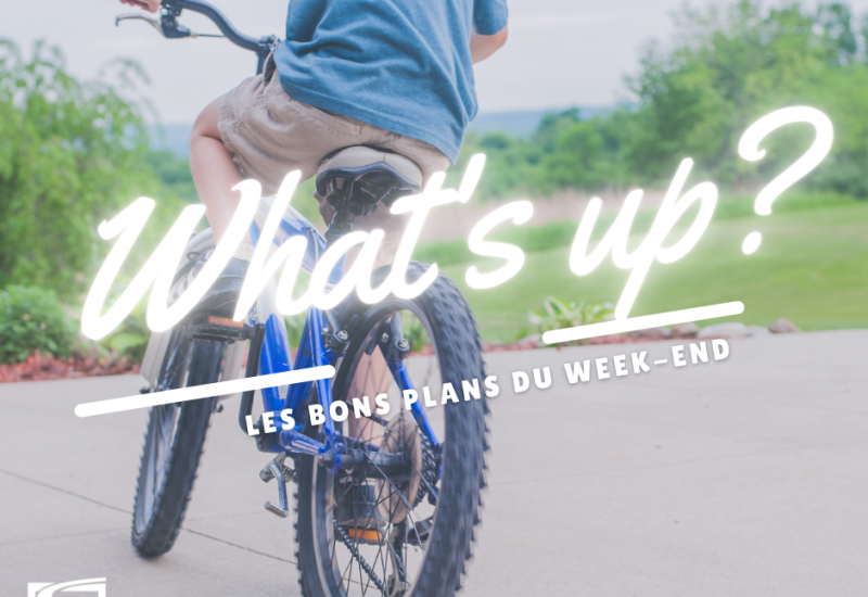 What's Up ? Voici des idées de sorties pour ce week-end !