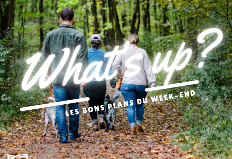 What's Up ? Voici des idées de sorties pour ce week-end !