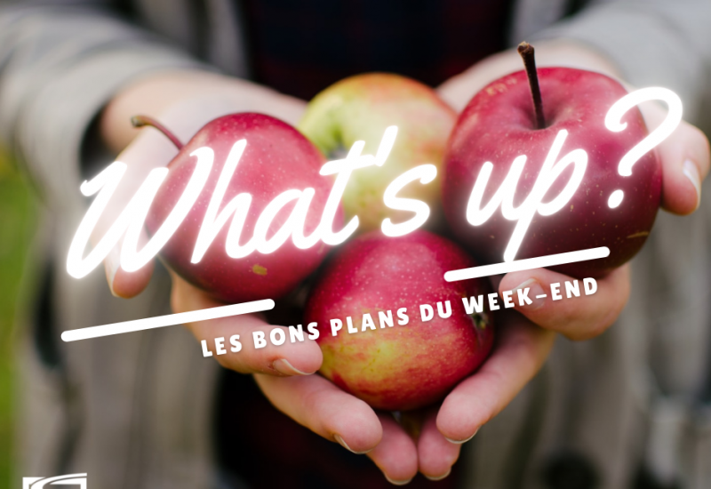 What's Up ? Voici des idées de sorties pour ce week-end !