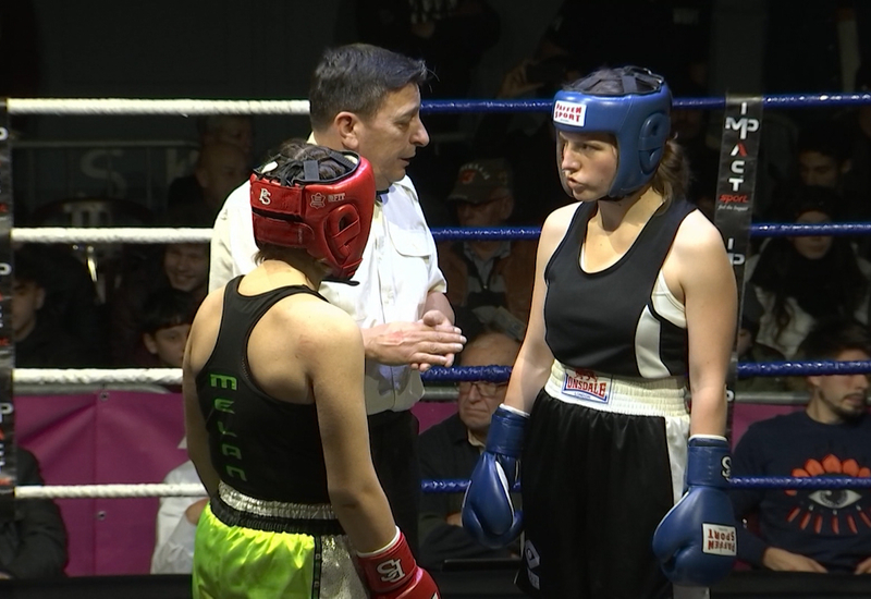 Boxe : soirée de gala Belgique - Italie