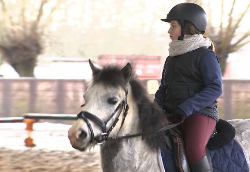 Les enfants du Poney club de Buisseret préparent leur passage de brevet