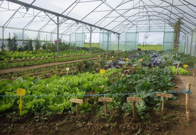 Lobbes : La Régie d'habitat rural a 10 ans, et 10 ans ça se fête ! 