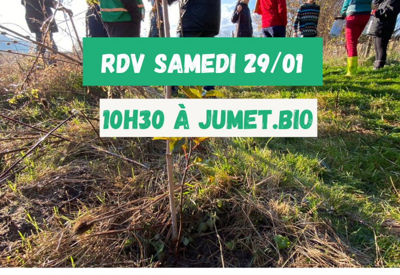 Jumet : Les Ecolos vont planter des haies ce week-end