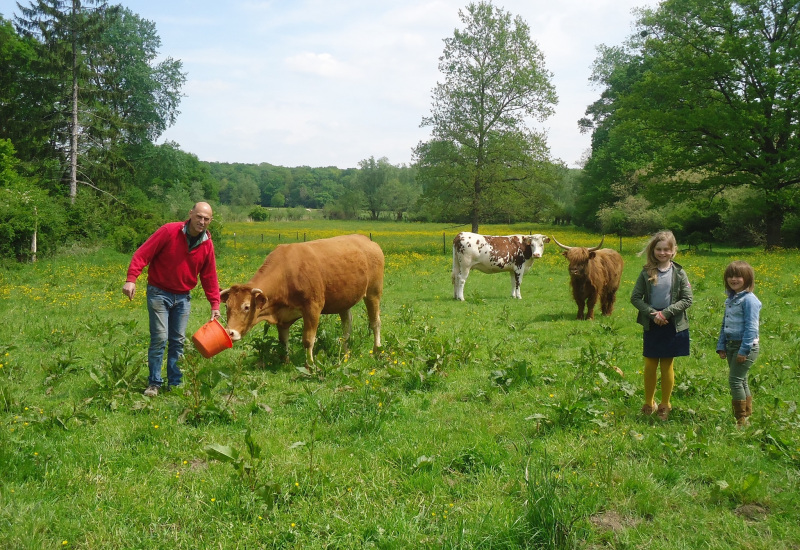 Le 1er mai, l'Aquascope vous convie à la transhumance de la Petite Suisse, de Lompret à Virelles