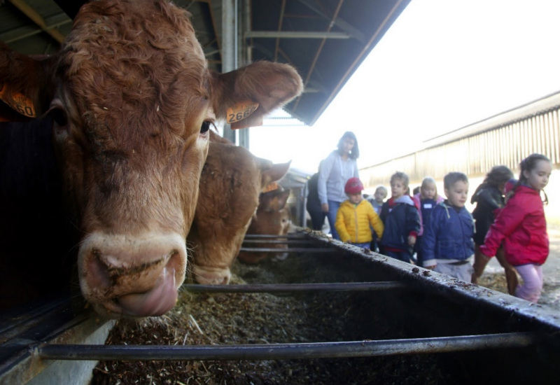 Accueil Champêtre en Wallonie dénonce l’utilisation abusive du label « ferme pédagogique »