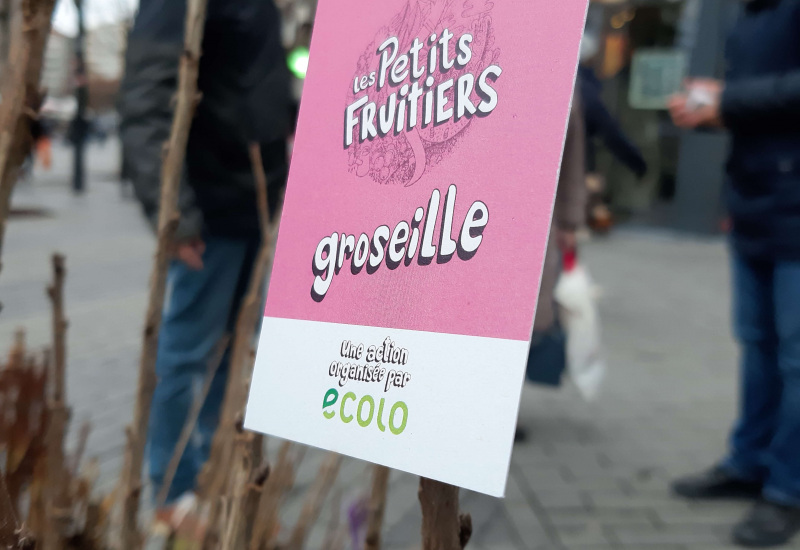 Ecolo : Une distribution qui porte ses fruits