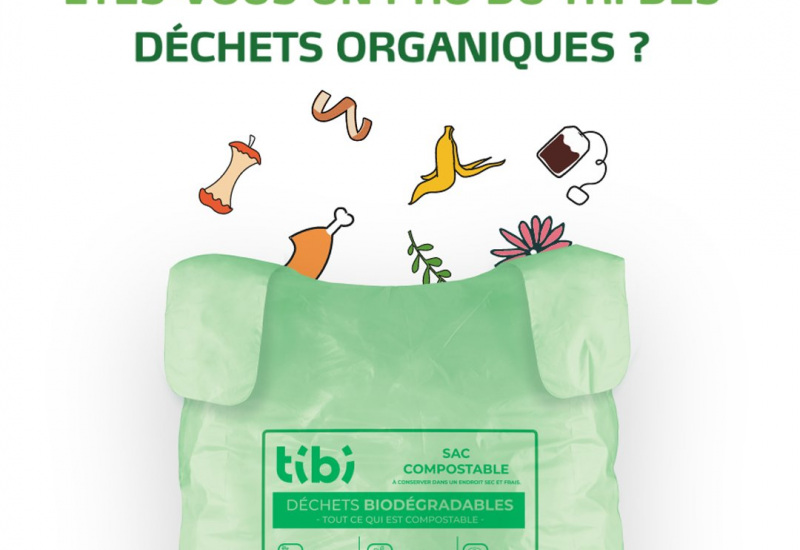 Concours Tibi : testez vos connaissances sur le nouveau sac vert