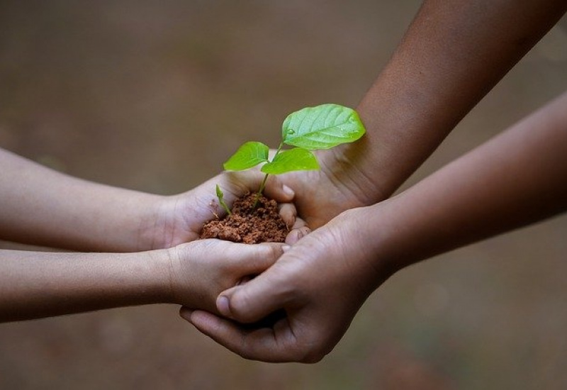 Châtelet: 2km de haies plantés pour l’opération « Yes We Plant » 