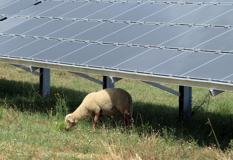 La commune des Bons Villers aimerait lancer un projet pilote agrivoltaïque