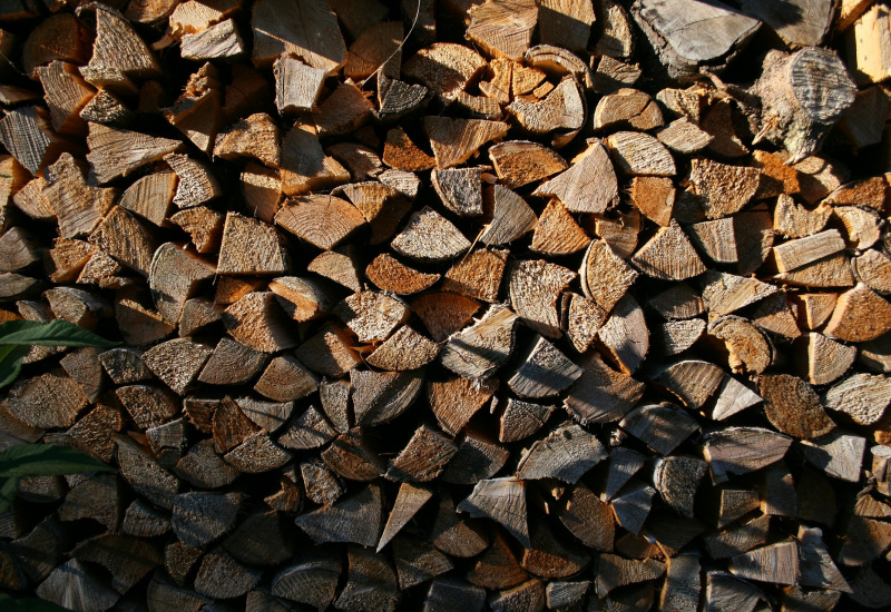 Erquelinnes : vente de bois de chauffage