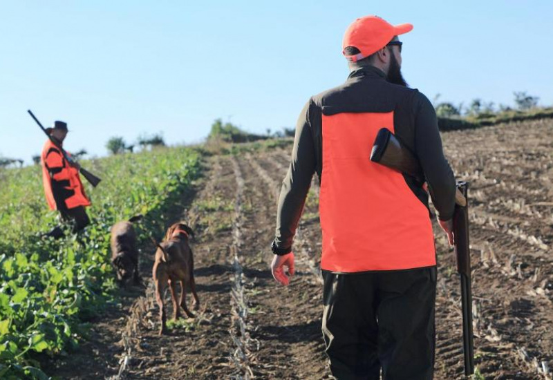 Bientôt une app pour prévenir de la présence des chasseurs en forêt ? 