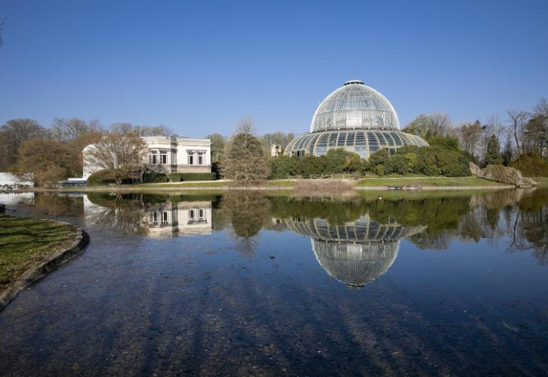 Du 15 avril au 8 mai, visitez les serres de Laeken ! 