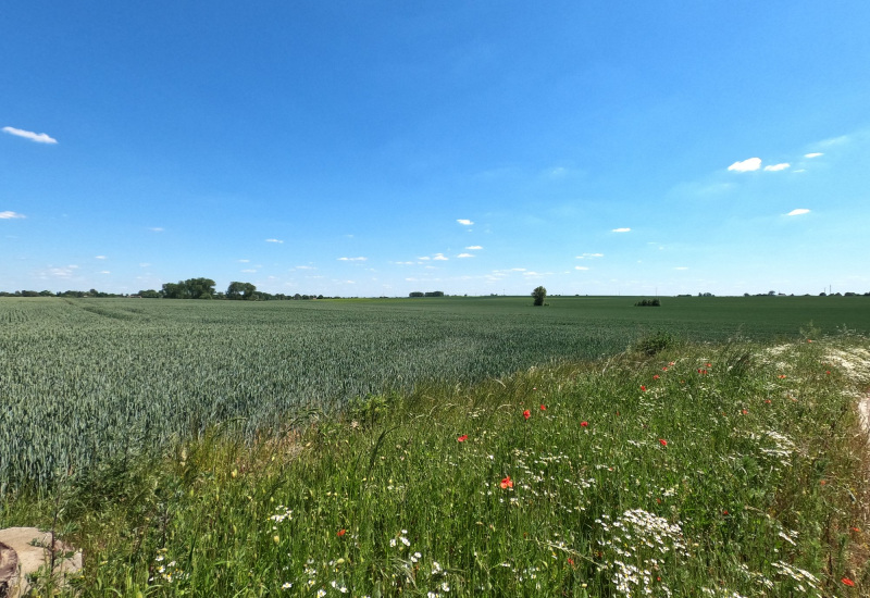 Les Bons villers : des appels à projets citoyens