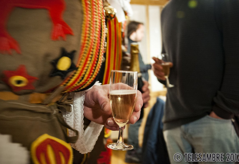 Bon bilan de santé pour le carnaval de Charleroi