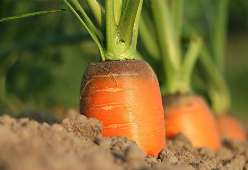 En Mai, le Hainaut vous donne "rendez-vous en terre agricole"